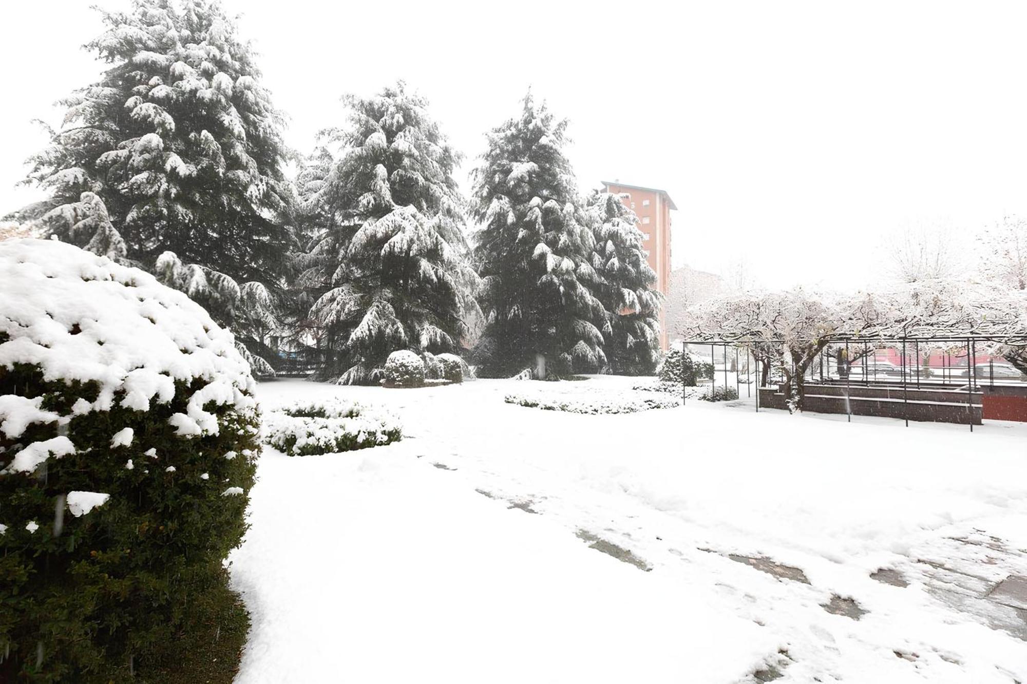 I Cedri Apartment Torino Exterior foto